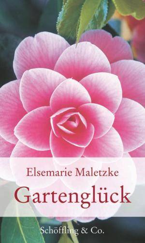 Cover of the book Gartenglück by Burkhard Spinnen, Anastasiya Nesterova