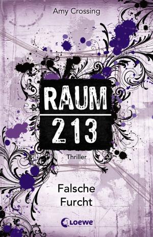bigCover of the book Raum 213 - Falsche Furcht by 