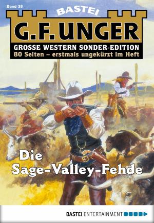 Cover of the book G. F. Unger Sonder-Edition 38 - Western by Christine Drews