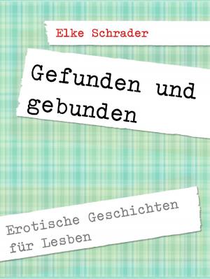 Cover of the book Gefunden, gebunden by Gesine Palmer