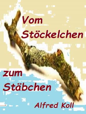 Cover of the book Vom Stöckelchen zum Stäbchen by Gerhard Miller
