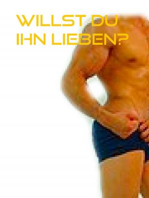 Cover of the book Willst Du ihn lieben? by Jörg Becker