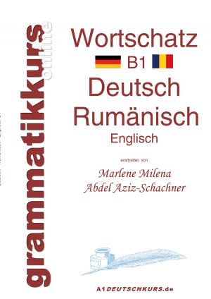 Cover of the book Wörterbuch Rumänisch B1 by Matthias von Saldern, Helmut Stieglbauer