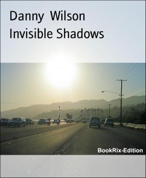Book cover of Invisible Shadows