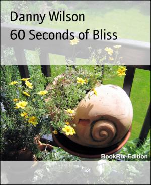 Cover of the book 60 Seconds of Bliss by alastair macleod