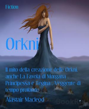 Cover of the book Orkni by Hendrik M. Bekker