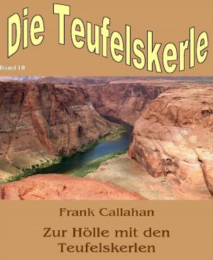 Cover of the book Zur Hölle mit den Teufelskerlen by Hentai Jones