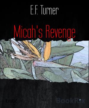Cover of the book Micah's Revenge by Mattis Lundqvist