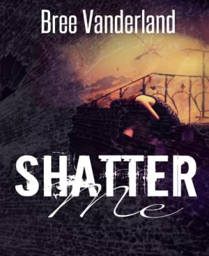 Cover of the book Shatter Me by Heinrich Heine