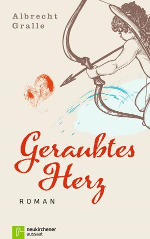 Cover of the book Geraubtes Herz by Johannes Busch
