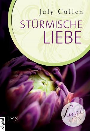 Cover of Lust de LYX - Stürmische Liebe