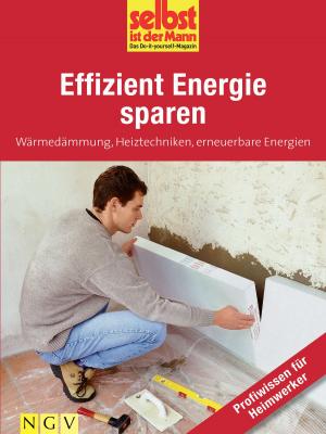 Cover of the book Effizient Energie sparen - Profiwissen für Heimwerker by Jonas Kozinowski