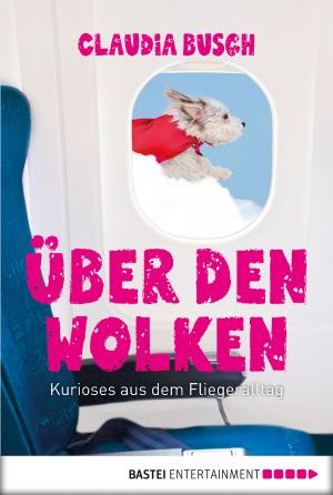 Cover of the book Über den Wolken by Simon Borner