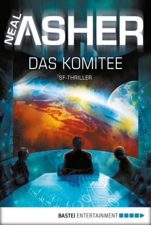 Cover of the book Das Komitee by Simon X. Rost