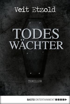 Cover of the book Todeswächter by Ben Calvin Hary