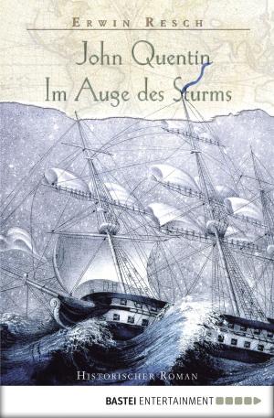 Cover of the book John Quentin - Im Auge des Sturms by Stefan Frank