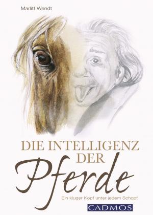 Book cover of Die Intelligenz der Pferde