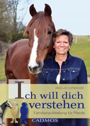 Cover of the book Ich will dich verstehen by Anke Rüsbüldt