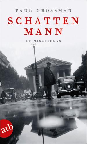 Cover of the book Schattenmann by Anja Marschall