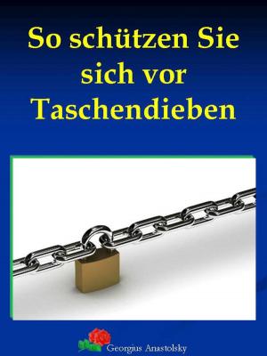 Cover of the book So schützen Sie sich vor Taschendieben by Joachim Stiller