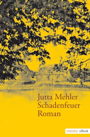 Cover of the book Schadenfeuer by Simone Tives