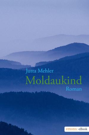 Cover of the book Moldaukind by Helmut Vorndran