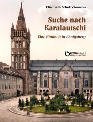 Book cover of Suche nach Karalautschi