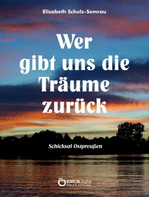 Cover of the book Wer gibt uns die Träume zurück by Rachael Eliker