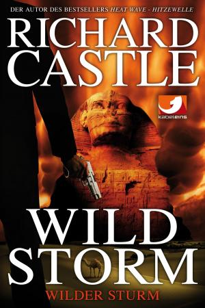 Cover of the book Derrick Storm 2: Wild Storm - Wilder Sturm by Dave Galanter