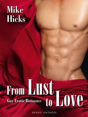 Book cover of From Lust to Love