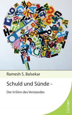 Cover of the book Schuld und Sünde by Robert Salopek, Christine Salopek
