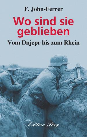 Book cover of Wo sind sie geblieben - Vom Dnjepr bis zum Rhein