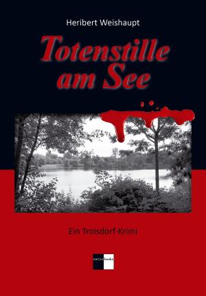 Cover of Totenstille am See