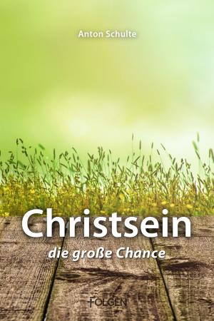Cover of the book Christsein – Die große Chance by Hanniel Strebel