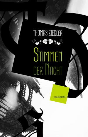Book cover of Stimmen der Nacht