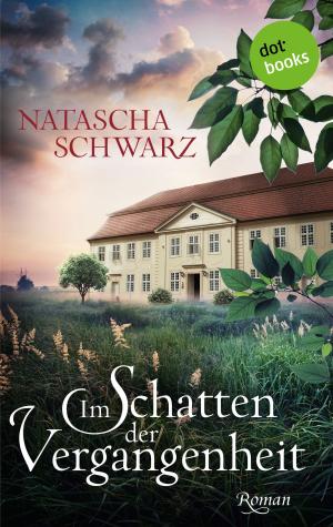 Book cover of Im Schatten der Vergangenheit