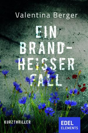 Cover of the book Ein brandheisser Fall by Marion Chesney