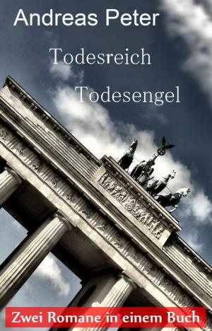 Book cover of Todesreich - Todesengel
