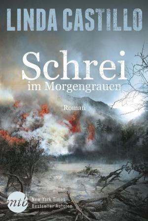Cover of the book Schrei im Morgengrauen by Kait Ballenger