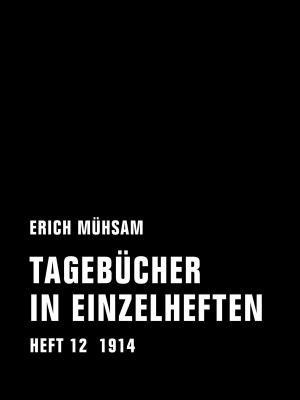 Cover of the book Tagebücher in Einzelheften. Heft 12 by Almut Klotz, Jörg Sundermeier