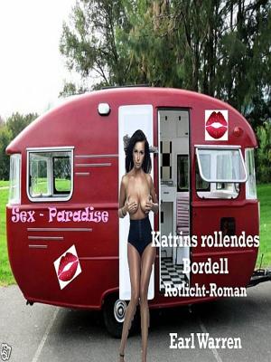 Cover of the book Katrins rollendes Bordell by Angela Planert