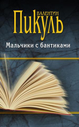 Cover of the book Мальчики с бантиками by Валентин Александрович Пушкин, Валентин Пронин