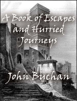 Book cover of A Book of Escapes and Hurried Journeys
