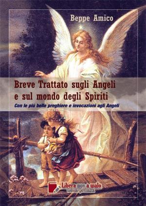 Cover of Breve Trattato sugli Angeli e sul mondo degli Spiriti