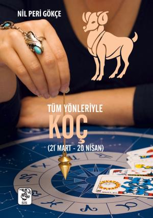 Cover of the book Tüm Yönleriyle Koç Burcu by Şemsettin Sami