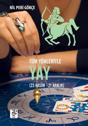 Cover of the book Tüm Yönleriyle Yay Burcu by Mehmet Rauf
