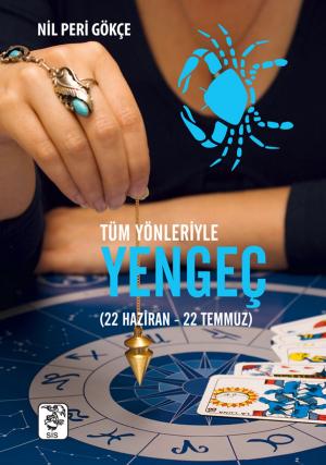 Cover of the book Tüm Yönleriyle Yengeç Burcu by Nil Peri Gökçe