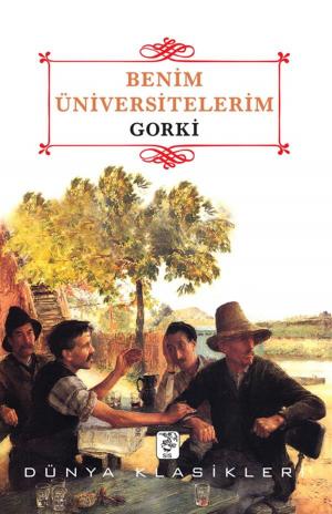 Book cover of Benim Üniversitelerim