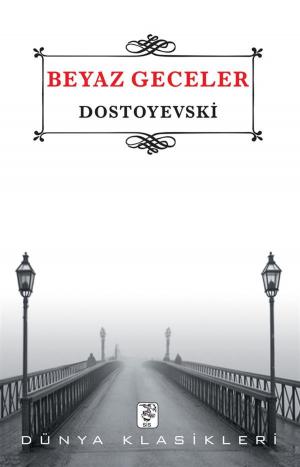 Cover of the book Beyaz Geceler by Şemsettin Sami