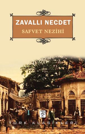 Cover of the book Zavallı Necdet by Nil Peri Gökçe